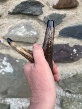 Load image into Gallery viewer, Hazel Wood Antler Handle Wading Staff Stick