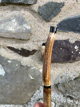 Load image into Gallery viewer, Hazel wood antler handled, handmade wooden walking sticks thumbsticks hiking sticks by Helen Elizabeth Studios
