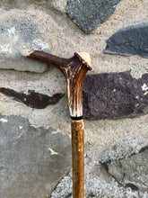 Load image into Gallery viewer, Hazel Wood Walking Stick with Antler Whistle Crown Handle (CC)