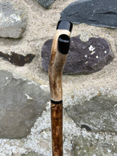 Load image into Gallery viewer, Hazel wood antler handled, handmade wooden walking sticks thumbsticks hiking sticks by Helen Elizabeth Studios