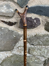 Load image into Gallery viewer, Hazel Wood Thumbstick with Antler Handle (P)