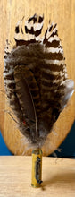 Load image into Gallery viewer, Natural Feather Cartridge Pin/Brooch for Hat, Lapel or Wrap (7)