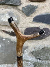 Load image into Gallery viewer, Hazel Wood Antler Handle Wading Staff Stick