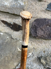 Load image into Gallery viewer, Hazel wood antler handled, handmade wooden walking sticks thumbsticks hiking sticks by Helen Elizabeth Studios