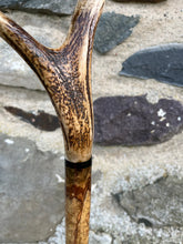 Load image into Gallery viewer, Hazel wood antler handled, handmade wooden walking sticks thumbsticks hiking sticks by Helen Elizabeth Studios