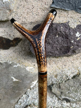 Load image into Gallery viewer, Hazel wood antler handled, handmade wooden walking sticks thumbsticks hiking sticks by Helen Elizabeth Studios