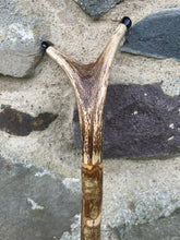 Load image into Gallery viewer, Hazel Wood Antler Handle Wading Staff Stick