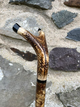 Load image into Gallery viewer, Hazel Wood Thumbstick with Antler Handle (R)