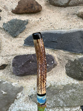Load image into Gallery viewer, Kingfisher Hand Painted on Antler Handle Hazel Thumbstick by Helen Elizabeth Studios