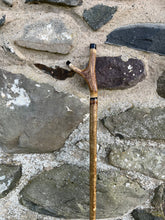 Load image into Gallery viewer, Hazel wood antler handled, handmade wooden walking sticks thumbsticks hiking sticks by Helen Elizabeth Studios