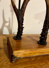 Load image into Gallery viewer, Roe Deer Stag Antler Candlestick Holder Double by Helen Elizabeth Studios