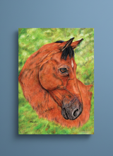 Load image into Gallery viewer, Bay Horse portrait colouered pencils by Helen Elizabeth Studios