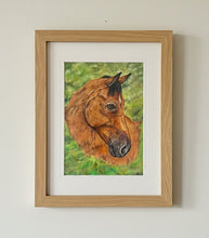 Load image into Gallery viewer, Bay Horse portrait colouered pencils by Helen Elizabeth Studios
