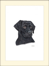 Load image into Gallery viewer, Black Labrador Retriever - Signed Limited Edition Gicleé Fine Art Print - Helen Elizabeth