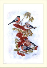 Load image into Gallery viewer, Bullfinches on Roan Signed limited edition giclee print by Helen Elizabeth Studios