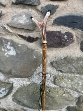 Load image into Gallery viewer, Hazel Wood Antler Handle Wading Staff Stick