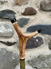 Load image into Gallery viewer, Peacock Displaying Painted on Antler Handle Hazel Thumbstick by Helen Elizabeth Studios