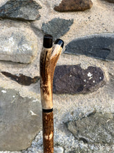 Load image into Gallery viewer, Hazel wood antler handled, handmade wooden walking sticks thumbsticks hiking sticks by Helen Elizabeth Studios