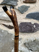 Load image into Gallery viewer, Hazel Wood Thumbstick with Antler Handle (P)