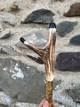 Load image into Gallery viewer, Hazel Wood Thumbstick Antler Handled Wading Staff Stick (17)
