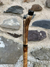 Load image into Gallery viewer, Hazel wood antler handled, handmade wooden walking sticks thumbsticks hiking sticks by Helen Elizabeth Studios