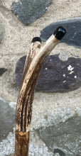 Load image into Gallery viewer, Hazel Wood Antler Handle Wading Staff Stick