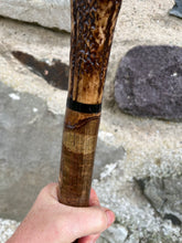 Load image into Gallery viewer, Hazel Wood Thumbstick with Antler Handle (P)