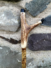 Load image into Gallery viewer, Hazel Wood Antler Handle Wading Staff Stick