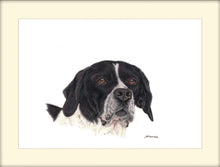 Load image into Gallery viewer, English Pointer signed limited giclee edition print by Helen Elizabeth