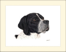 Load image into Gallery viewer, English Pointer Limited Edition gGiclee signed print by Helen Elizabeth