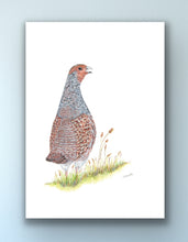 Load image into Gallery viewer, English Partridge signed limited edition giclee print by Helen Elizabeth