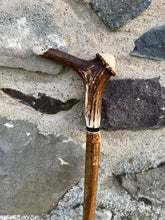 Load image into Gallery viewer, Hazel wood antler handled, handmade wooden walking sticks thumbsticks hiking sticks by Helen Elizabeth Studios