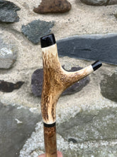 Load image into Gallery viewer, Hazel Wood Antler Handle Wading Staff Stick