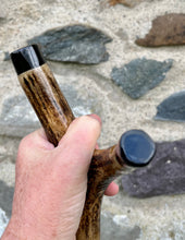 Load image into Gallery viewer, Highland Cow in Field- Hand Painted Hazel Antler Handle Thumbstick