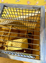 Load image into Gallery viewer, Hand painted ornamental bird cage by Helen Elizabeth goldfinch Cob Horse Lurchjer vintage caravan