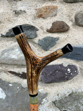 Load image into Gallery viewer, Highland Cow in Field- Hand Painted Hazel Antler Handle Thumbstick