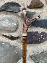 Load image into Gallery viewer, Hazel wood antler handled, handmade wooden walking sticks thumbsticks hiking sticks by Helen Elizabeth Studios