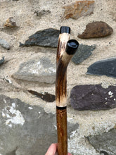 Load image into Gallery viewer, Hazel wood antler handled, handmade wooden walking sticks thumbsticks hiking sticks by Helen Elizabeth Studios