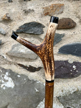 Load image into Gallery viewer, Hazel wood antler handled, handmade wooden walking sticks thumbsticks hiking sticks by Helen Elizabeth Studios