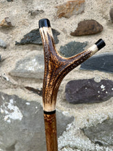 Load image into Gallery viewer, Hazel wood antler handled, handmade wooden walking sticks thumbsticks hiking sticks by Helen Elizabeth Studios