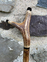 Load image into Gallery viewer, Hazel Thumbstick with Antler Handle (GG)