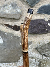Load image into Gallery viewer, Hazel Thumbstick with Antler Handle (GG)