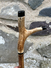 Load image into Gallery viewer, Hazel Thumbstick with Antler Handle (GG)