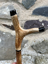 Load image into Gallery viewer, Hazel wood antler handled, handmade wooden walking sticks thumbsticks hiking sticks by Helen Elizabeth Studios