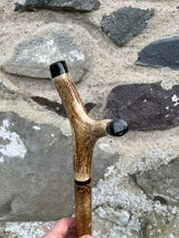 Load image into Gallery viewer, Hazel wood antler handled, handmade wooden walking sticks thumbsticks hiking sticks by Helen Elizabeth Studios