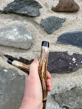 Load image into Gallery viewer, Hazel wood antler handled, handmade wooden walking sticks thumbsticks hiking sticks by Helen Elizabeth Studios