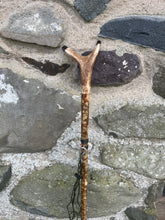 Load image into Gallery viewer, Hazel Wood Antler Handle Wading Staff Stick