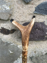 Load image into Gallery viewer, Hazel Wood Antler Handle Wading Staff Stick
