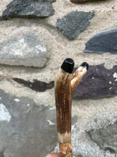 Load image into Gallery viewer, Hazel Wood Antler Handle Wading Staff Stick