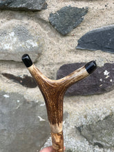 Load image into Gallery viewer, Hazel Wood Antler Handle Wading Staff Stick
